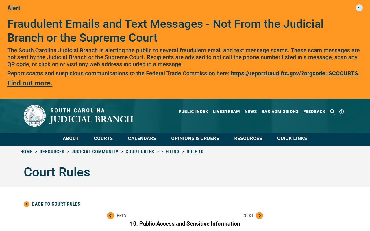 South Carolina E-Filing Rule 10 page governing York County court records public access